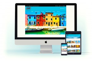 GB Privilage website design project